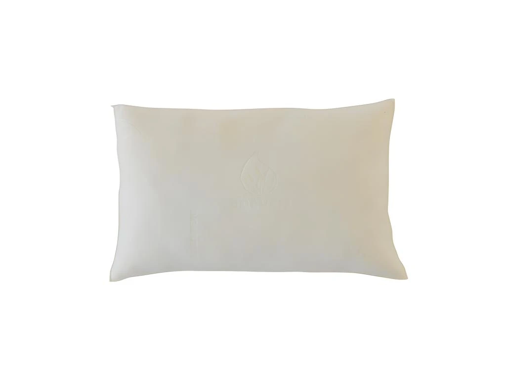 OLYMPE LITERIE | Oreiller 30x50 Cm ALOE VERA | Mémoire De Forme | Ferme 1 OLYMPE LITERIE | Oreiller 30x50 Cm ALOE VERA | Mémoire De Forme | Ferme