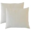 OLYMPE LITERIE | Lot De 2 Oreillers 60x60 Cm ALOE VERA | Mémoire De Forme | Fermes