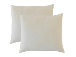 OLYMPE LITERIE | Lot De 2 Oreillers 60x60 Cm ALOE VERA | Mémoire De Forme | Fermes