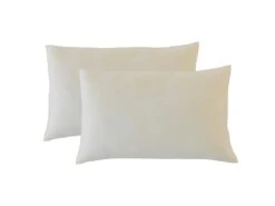 OLYMPE LITERIE | Lot De 2 Oreillers 30x50 Cm ALOE VERA | Mémoire De Forme | Fermes