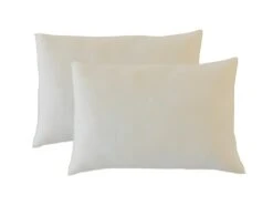 OLYMPE LITERIE | Lot De 4 Oreillers 50x70 Cm ALOE VERA | Mémoire De Forme | Fermes