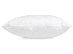 Oreiller 50x50 Cm GRIZZ'LIT PLUMES 100% Plumes De Canard 11 Oreiller 50x50 Cm GRIZZ'LIT PLUMES 100% Plumes De Canard -Literie Magasin oreiller 12254259