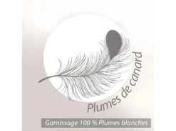 Oreiller 45x70 Cm GRIZZ'LIT PLUMES 100% Plumes De Canard 15 Oreiller 45x70 Cm GRIZZ'LIT PLUMES 100% Plumes De Canard -Literie Magasin oreiller 12254303