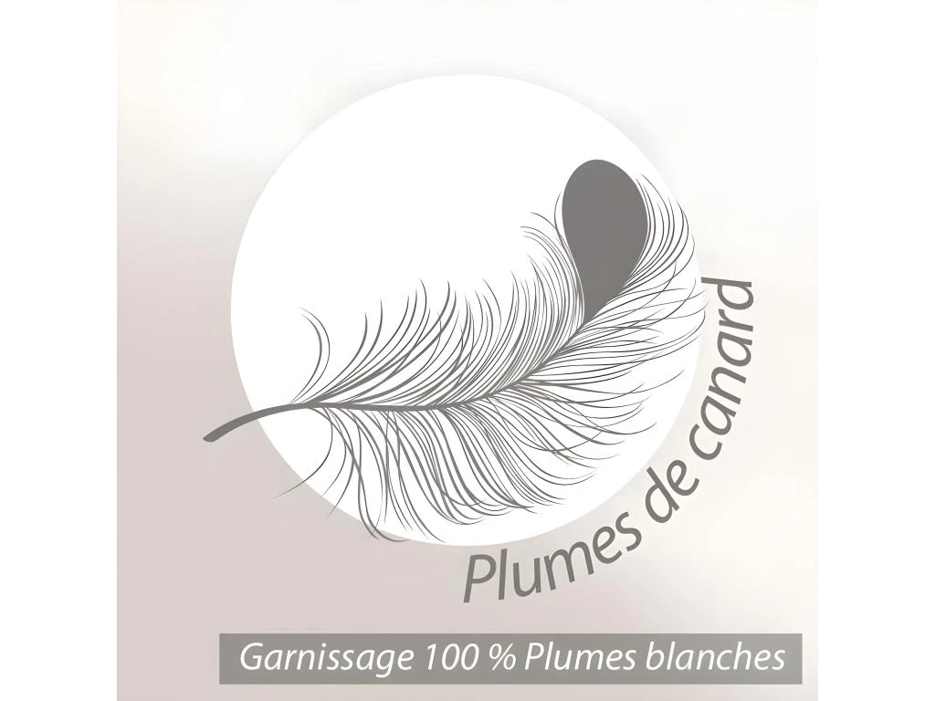 Oreiller 45x70 Cm GRIZZ'LIT PLUMES 100% Plumes De Canard 7 Oreiller 45x70 Cm GRIZZ'LIT PLUMES 100% Plumes De Canard – Image 7