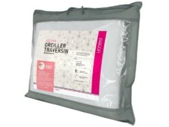 Oreiller 60x60 Cm ASCONA Mousse à Mémoire De Forme Visco