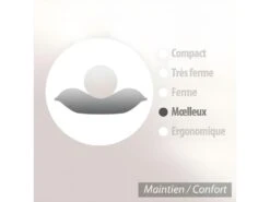 Oreiller 80x80 Cm GRIZZ'LIT PLUMES 100% Plumes De Canard -Literie Magasin oreiller 12254333