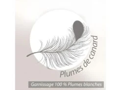 Oreiller 80x80 Cm GRIZZ'LIT PLUMES 100% Plumes De Canard -Literie Magasin oreiller 12254337