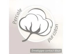 Oreiller 40x60 Cm GRIZZ'LIT PLUMES 100% Plumes De Canard -Literie Magasin oreiller 12254357