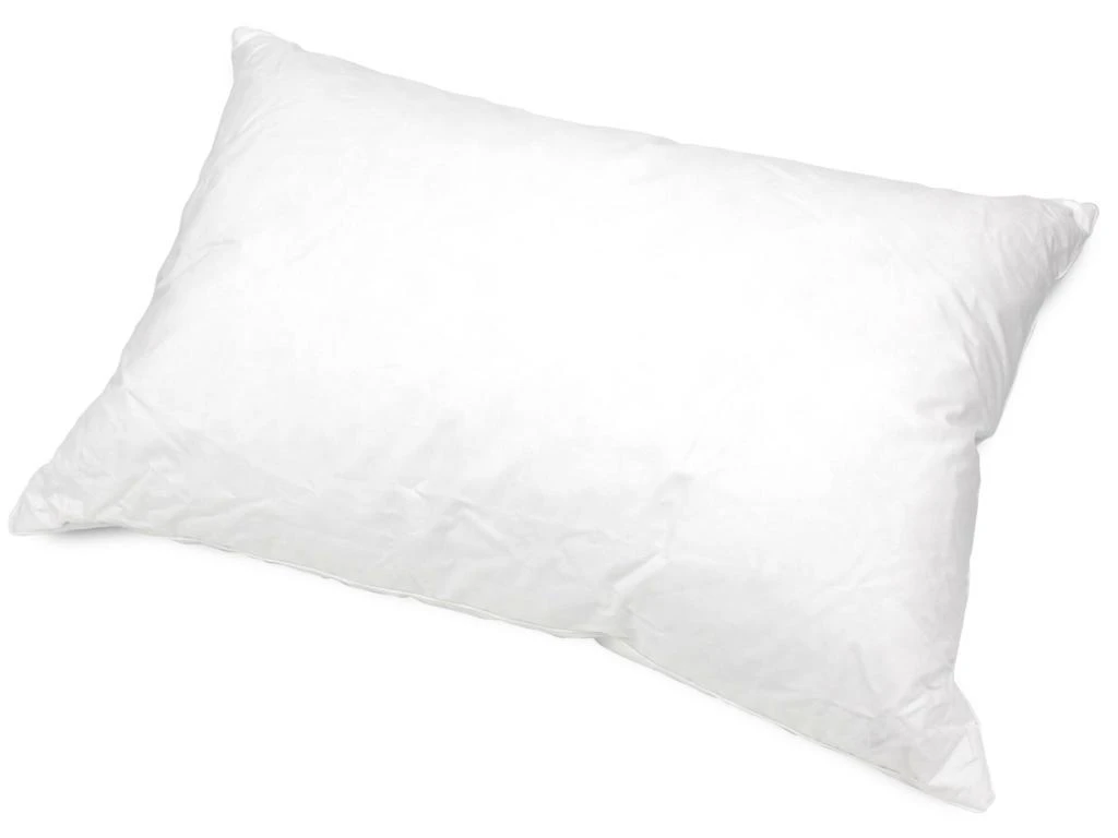 Oreiller 75x50 Cm GRIZZ'LIT PLUMES 100% Plumes De Canard 1 Oreiller 75x50 Cm GRIZZ'LIT PLUMES 100% Plumes De Canard