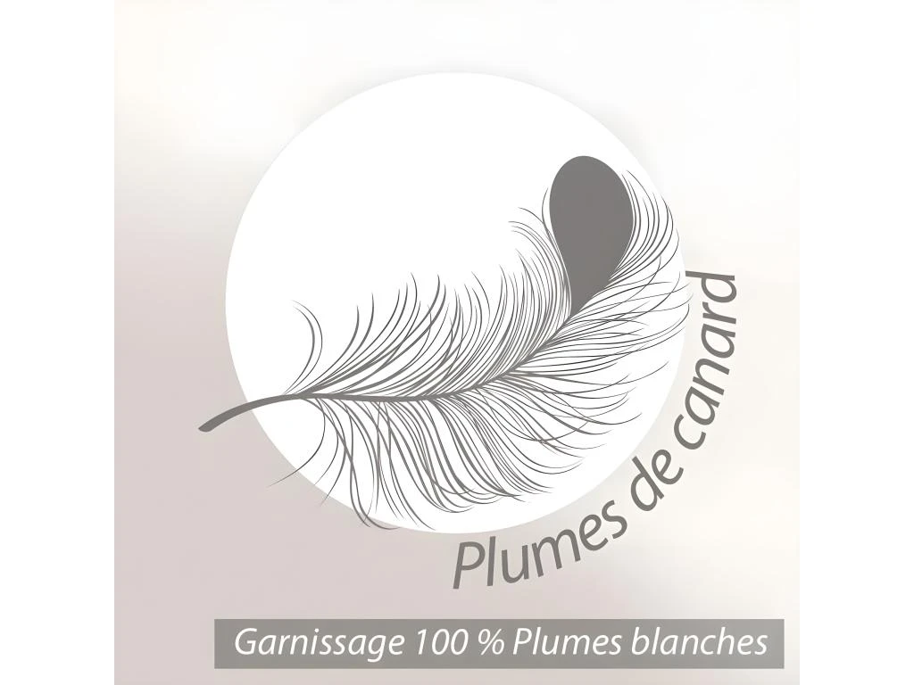 Oreiller 75x50 Cm GRIZZ'LIT PLUMES 100% Plumes De Canard 7 Oreiller 75x50 Cm GRIZZ'LIT PLUMES 100% Plumes De Canard – Image 7