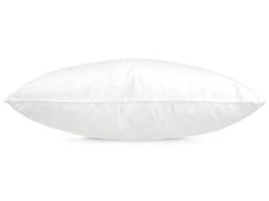 Oreiller 60x60 Cm GRIZZ'LIT PLUMES 100% Plumes De Canard 11 Oreiller 60x60 Cm GRIZZ'LIT PLUMES 100% Plumes De Canard -Literie Magasin oreiller 12254439