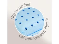 Oreiller 40x60 Cm DOZZA Mousse à Mémoire De Forme Moulée Aquagel -Literie Magasin oreiller 12254665