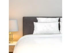 BELLECOUR LITERIE | Oreiller 60x60 Cm CHAMBORD | Duvet & Plumes | Mi-ferme -Literie Magasin oreiller 12650639