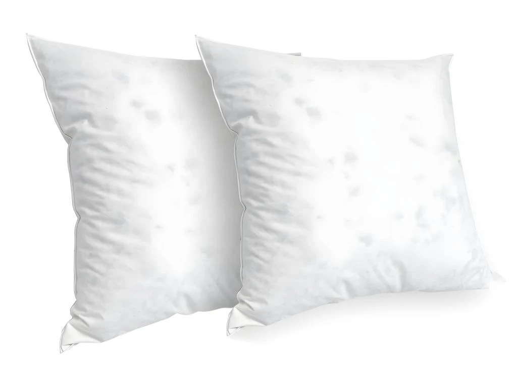 BELLECOUR LITERIE | Lot De 2 Oreillers 60x60 Cm CHAMBORD | Duvet & Plumes | Mi-ferme 1 BELLECOUR LITERIE | Lot De 2 Oreillers 60x60 Cm CHAMBORD | Duvet & Plumes | Mi-ferme