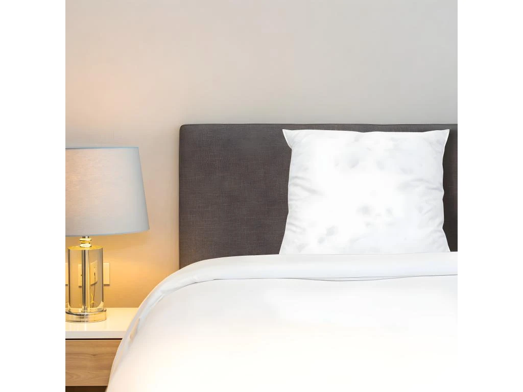 BELLECOUR LITERIE | Lot De 2 Oreillers 60x60 Cm CHAMBORD | Duvet & Plumes | Mi-ferme 2 BELLECOUR LITERIE | Lot De 2 Oreillers 60x60 Cm CHAMBORD | Duvet & Plumes | Mi-ferme – Image 2