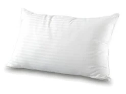 Oreiller Noche Blanc 45x70 Cm