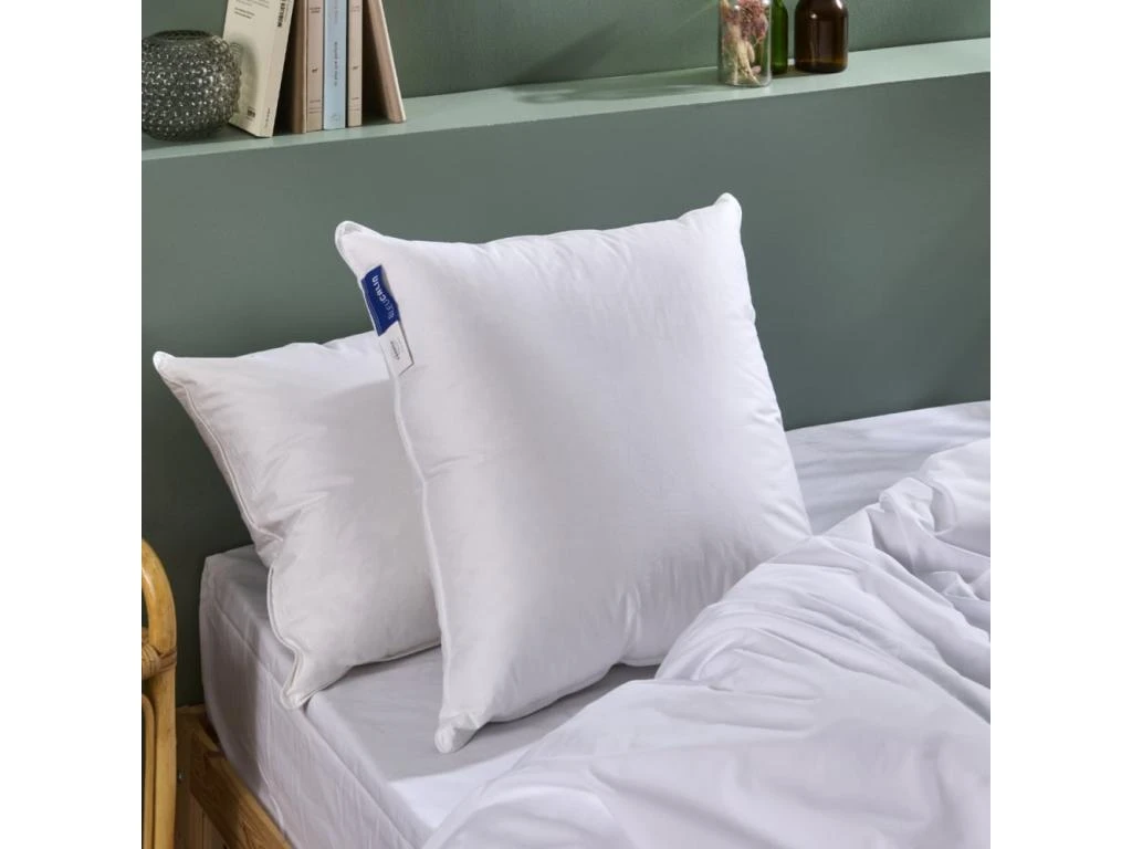 Oreiller Duvet De Canard Enveloppe Percale De Coton - 60x60cm 2 Oreiller Duvet De Canard Enveloppe Percale De Coton - 60x60cm – Image 2