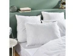 Oreiller Duvet De Canard Enveloppe Percale De Coton - 60x60cm 6 Oreiller Duvet De Canard Enveloppe Percale De Coton - 60x60cm -Literie Magasin oreiller 13604775