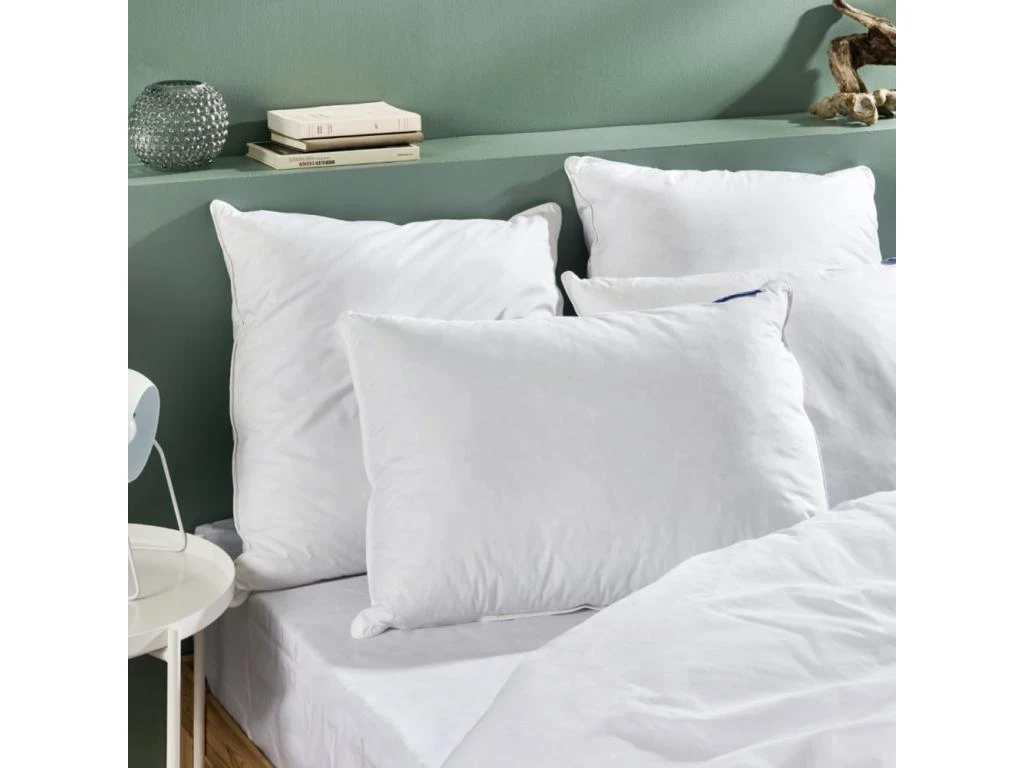 Oreiller Duvet De Canard Enveloppe Percale De Coton - 60x60cm 3 Oreiller Duvet De Canard Enveloppe Percale De Coton - 60x60cm – Image 3