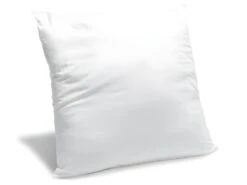 Oreiller Moelleux Anti-punaises De Lit 60x60cm