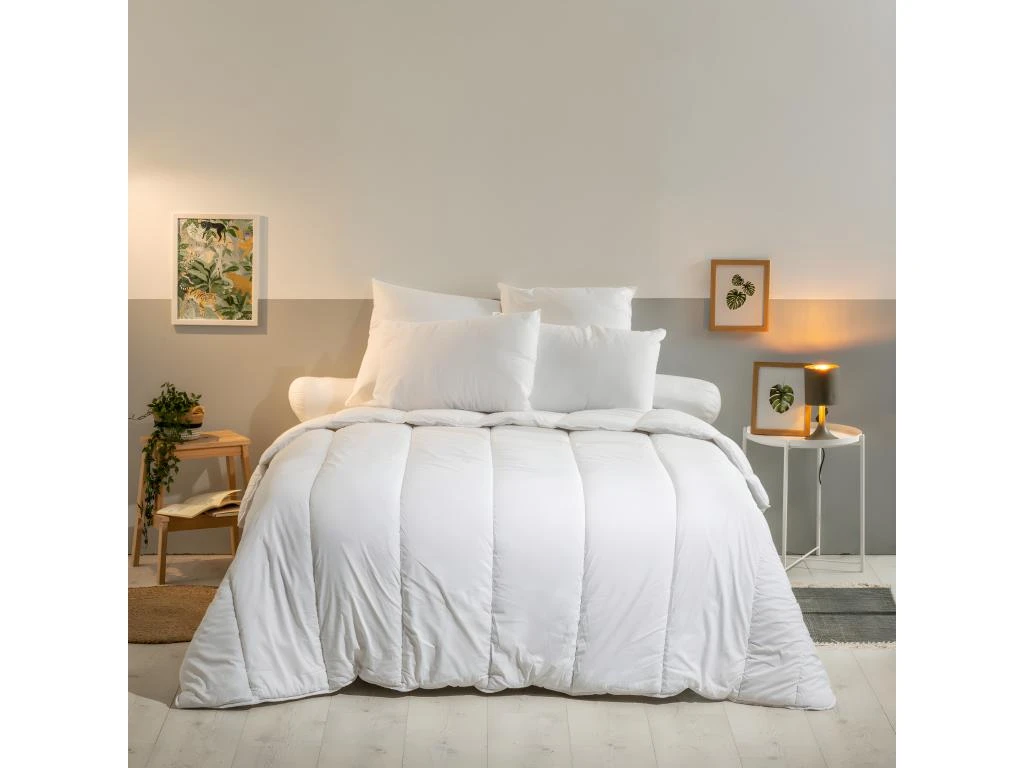 Oreiller Moelleux Anti-punaises De Lit 60x60cm 2 Oreiller Moelleux Anti-punaises De Lit 60x60cm – Image 2