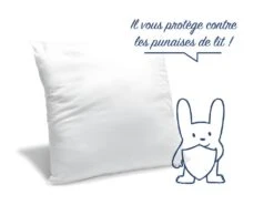 Oreiller Moelleux Anti-punaises De Lit 60x60cm 5 Oreiller Moelleux Anti-punaises De Lit 60x60cm -Literie Magasin oreiller 13604783