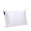 Oreiller Duvet De Canard Enveloppe Percale De Coton - 50x70cm