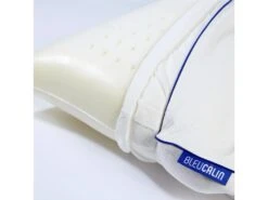 Oreiller Mémoire De Forme Bio - Confort Ergonomique - 50x70cm -Literie Magasin oreiller 13604813