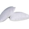 Lot De 2 Oreillers Confort Enveloppe Coton Someo 50x70