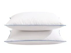 Lot De 2 Oreillers Moelleux Duvet De Canard Anti-allergènes Someo 60x60 -Literie Magasin oreiller 21842223