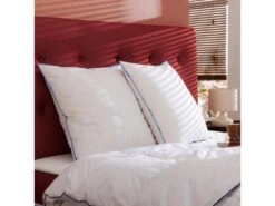 Lot De 2 Oreillers Moelleux Duvet De Canard Anti-allergènes Someo 60x60 -Literie Magasin oreiller 21842225