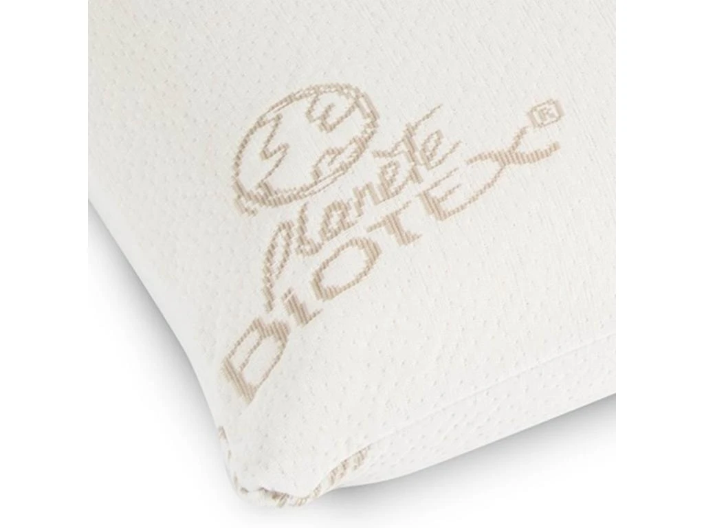 Oreiller Flocons Mousse Mémoire Végétale Calypso 60x60 2 Oreiller Flocons Mousse Mémoire Végétale Calypso 60x60 – Image 2