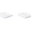 Lot De 2 Oreillers Moelleux/ferme Duvet De Canard Anti-allergènes Someo 65x65