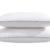 Lot De 2 Oreillers Moelleux Duvet De Canard Anti-allergènes Someo 45x70