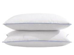 Lot De 2 Oreillers Moelleux Duvet De Canard Anti-allergènes Someo 45x70