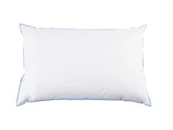 Oreiller Moelleux Duvet De Canard Anti-allergènes Someo 45x70