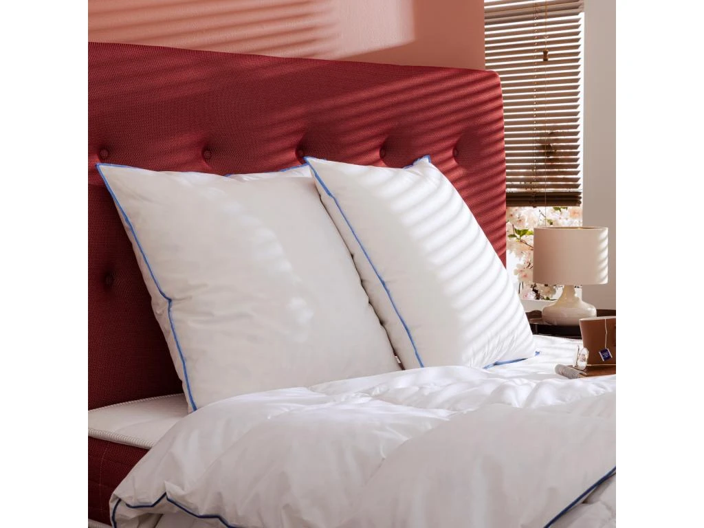 Lot De 2 Oreillers Moelleux/ferme Duvet De Canard Anti-allergènes Someo 60x60 5 Lot De 2 Oreillers Moelleux/ferme Duvet De Canard Anti-allergènes Someo 60x60 – Image 5