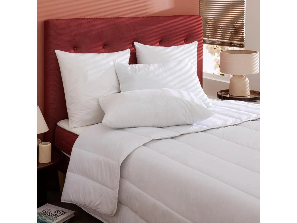 Lot De 2 Oreillers éco Naturels Ferme Enveloppe Coton Bio Someo 60x60 2 Lot De 2 Oreillers éco Naturels Ferme Enveloppe Coton Bio Someo 60x60 – Image 2