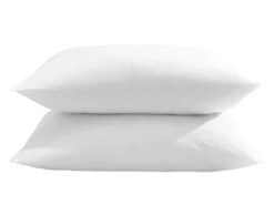 Lot De 2 Oreillers éco Naturels Ferme Enveloppe Coton Bio Someo 60x60 8 Lot De 2 Oreillers éco Naturels Ferme Enveloppe Coton Bio Someo 60x60 -Literie Magasin oreiller 21842651