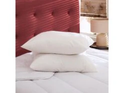 Lot De 2 Oreillers éco Naturels Ferme Enveloppe Coton Bio Someo 60x60 9 Lot De 2 Oreillers éco Naturels Ferme Enveloppe Coton Bio Someo 60x60 -Literie Magasin oreiller 21842653