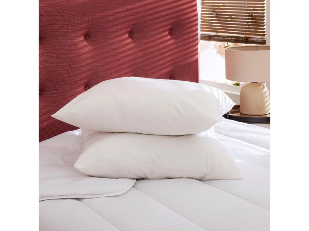 Lot De 2 Oreillers éco Naturels Ferme Enveloppe Coton Bio Someo 60x60 5 Lot De 2 Oreillers éco Naturels Ferme Enveloppe Coton Bio Someo 60x60 – Image 5