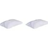 Lot De 2 Oreillers Anti-punaises Et Anti-insectes Moelleux Enveloppe Microfibre 50x70