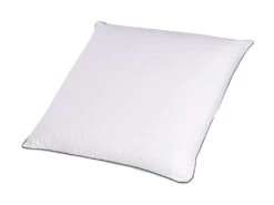 Lot De 2 Oreillers Mousse Mémoire Végétale Et Taies D'oreillers Percale Someo 40x60 8 Lot De 2 Oreillers Mousse Mémoire Végétale Et Taies D'oreillers Percale Someo 40x60 -Literie Magasin oreiller 21842777