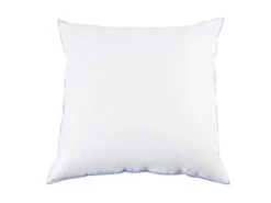 Oreiller Moelleux Duvet De Canard Anti-allergènes Someo 60x60