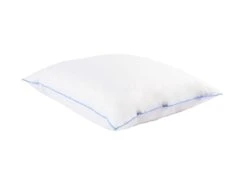Oreiller Moelleux Duvet De Canard Anti-allergènes Someo 60x60 -Literie Magasin oreiller 21842799