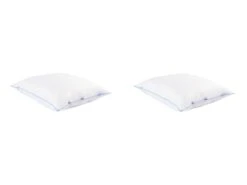 Lot De 2 Oreillers Moelleux Duvet De Canard Anti-allergènes Someo 65x65