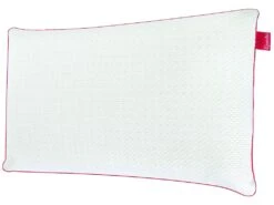 Lot De 2 Oreillers Epeda Symbiose Ressorts Ensachés 41x70 5 Lot De 2 Oreillers Epeda Symbiose Ressorts Ensachés 41x70 -Literie Magasin oreiller 22050983