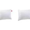 Lot De 2 Oreillers Epeda Aloe Vera Confort Ferme Anti-acariens 50x70