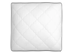 Lot De 2 Oreillers Bultex Spécial Cervicales Mousse Mémoire 60x60 -Literie Magasin oreiller 22051107