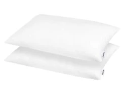 Lot De 2 Oreillers Bultex Duo 40x60